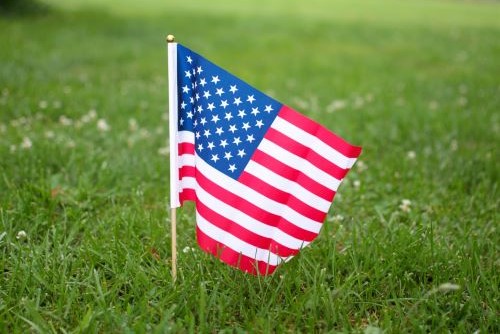 Small American flag planted in a green lawn
